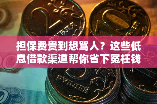 北京担保费贵到想骂人？这些低息借款渠道帮你省下冤枉钱