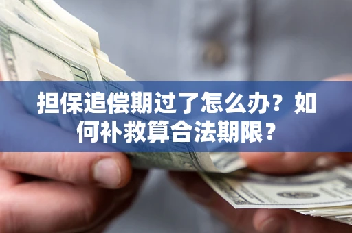 北京担保追偿期过了怎么办？如何补救算合法期限？
